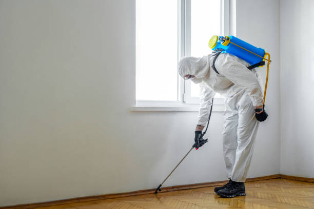 Reliable Gruetli Laager, TN Pest Control Solutions