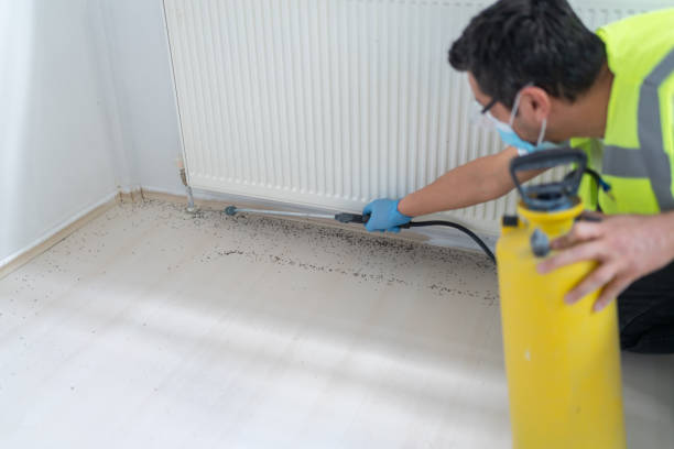 Best Flea Control Services  in Gruetli Laager, TN