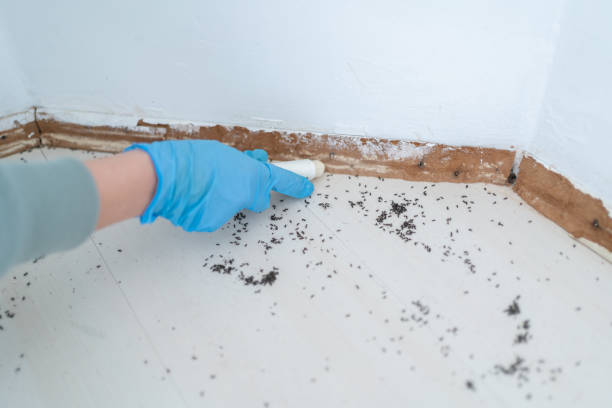 Best Pest Removal Services  in Gruetli Laager, TN