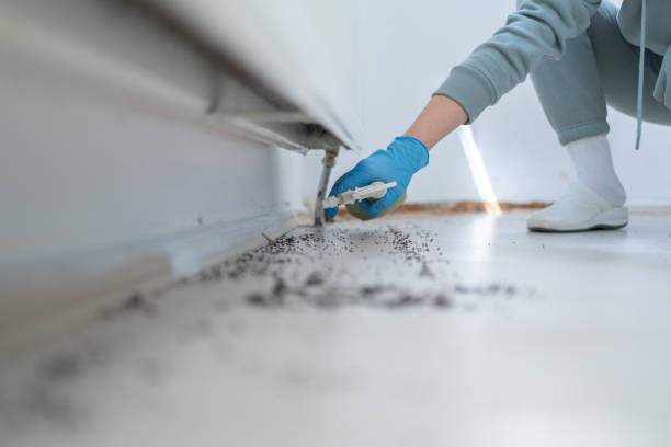 Best Emergency Pest Control  in Gruetli Laager, TN