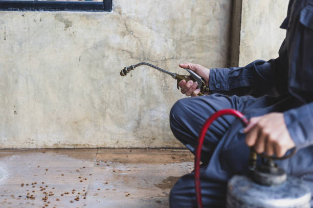 Best Wasp Removal Services  in Gruetli Laager, TN